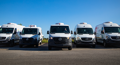 A fleet of Mercedes-Benz Vans in a parking lot.